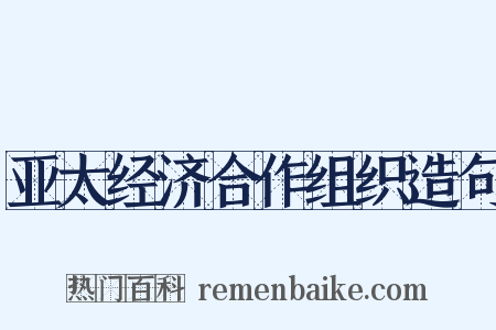 亚太经济合作组织造句是什么意思的图片